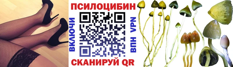 сайты даркнета формула  Сасово  Псилоцибиновые грибы GOLDEN TEACHER 